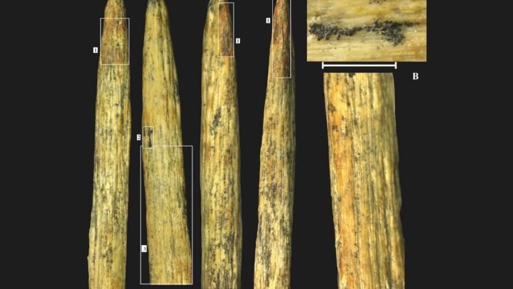 80,000-Year-Old Neanderthal Spear Tip Discovered in Caucasus Mountains