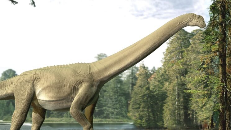 Ancient Dinosaur Dinner Uncovered After 100 Million Years