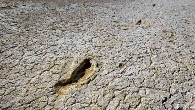 Secrets Buried Beneath the First Footprints on Earth