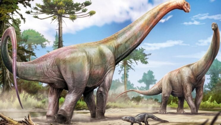Massive 20-Meter Dinosaur Discovered in Brazil Reveals Ancient Link to Europe