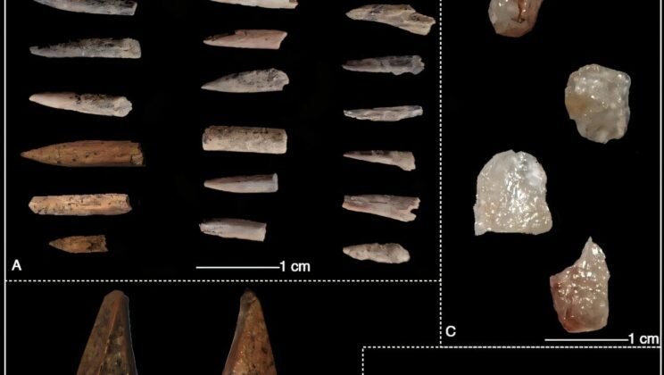 Ancient Shell Midden Reveals Northern Sri Lanka’s Earliest Confirmed Island Settlement