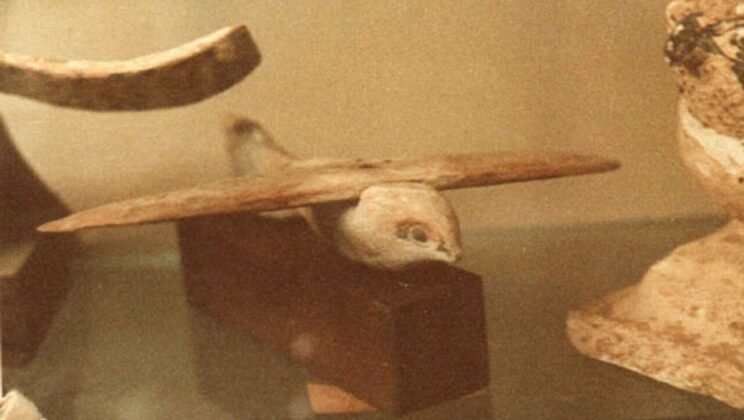 The Saqqara Bird: Did Ancient Egyptians Have Flying Machines?