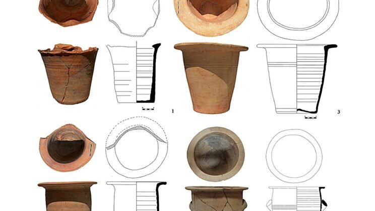 Ancient Roman Toilets Reveal Earliest Reliable Evidence of Cryptosporidium in the Mediterranean
