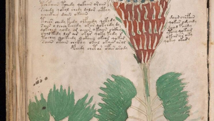 5 Ancient Texts That Scientists and Linguists Still Can’t Decipher